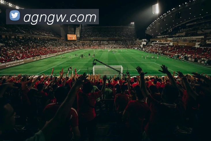 ag官网APP 封面图